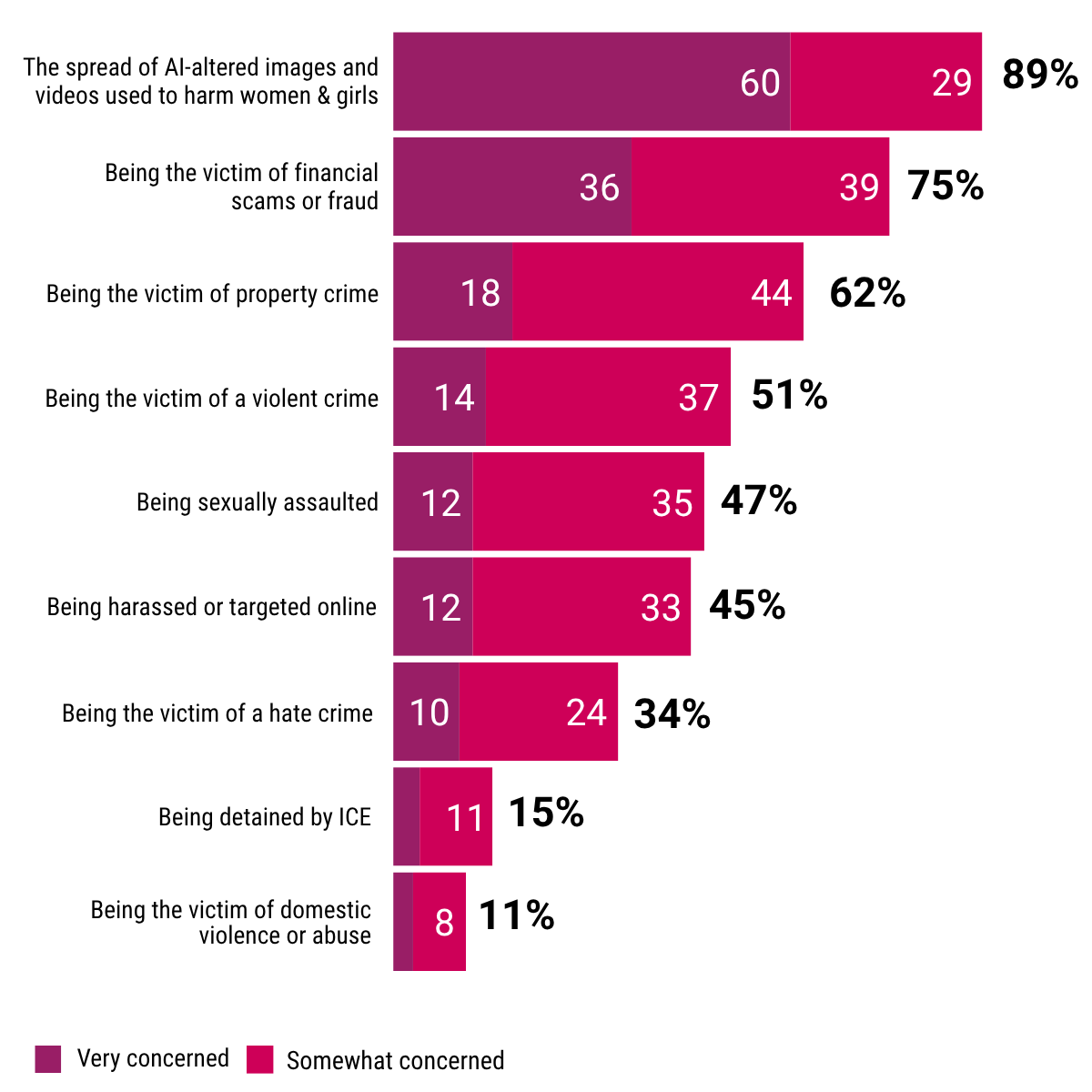 Bar graph showing women's safety concerns