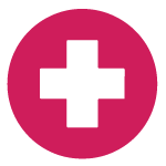 Healthcare and Medical Assistance Icon