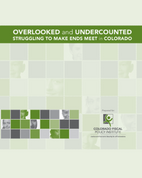 Overlooked & Undercounted Report